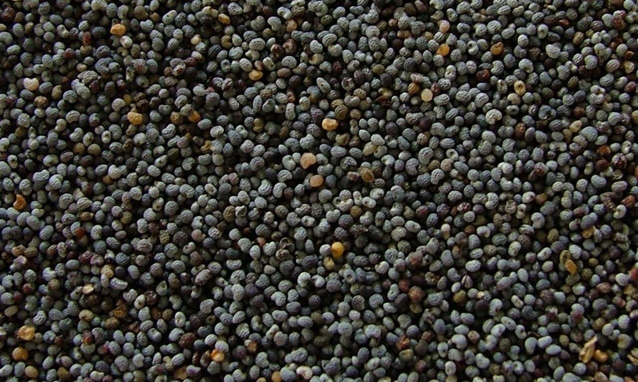 poppy-seeds