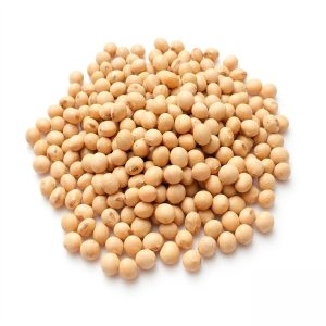 poroto de soja orgánico