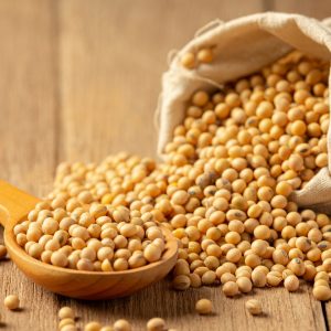 porotos de soja