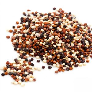 quinua tricolor