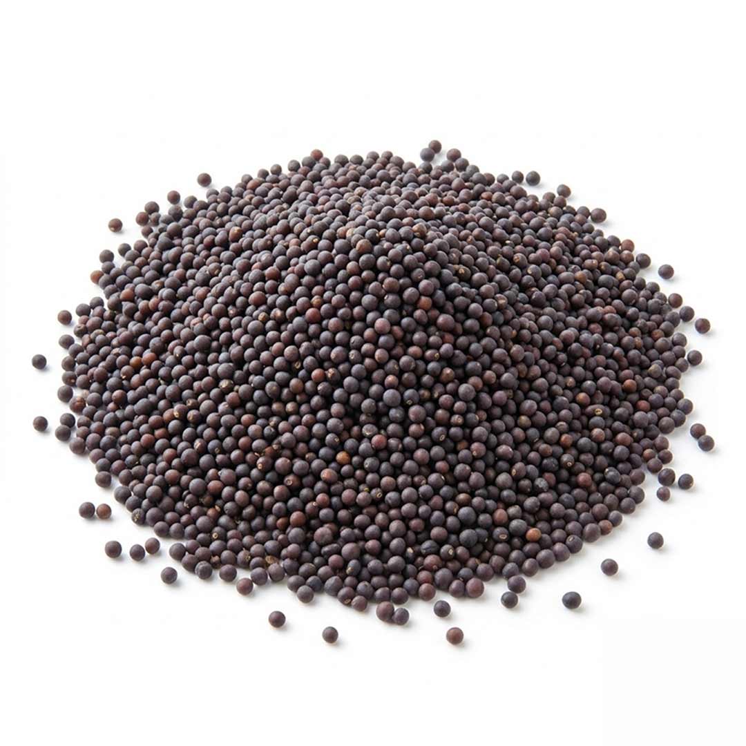 semillas de mostaza negra orgánica