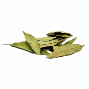 laurel