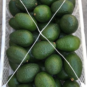 palta hass
