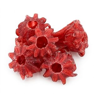 hibiscus confitado